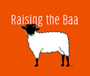 Sheep, Shepherd or Dog: team building book launch
